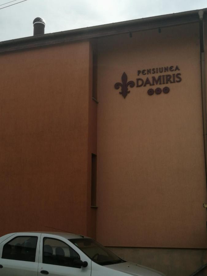 Pensiunea Damiris Băile Felix Dış mekan fotoğraf